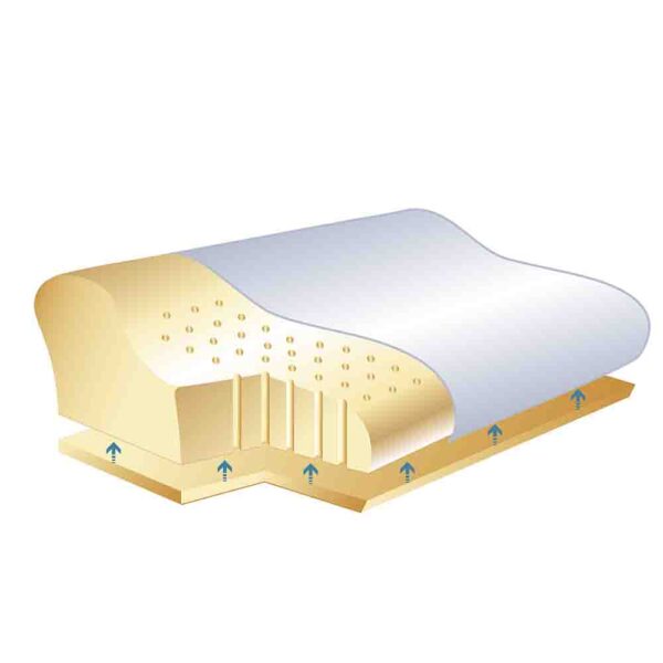 最好睡的枕形-SISSEL® Soft-plus 舒柔進階款矯形枕 改善睡眠品質的理想選擇：圖片 2
