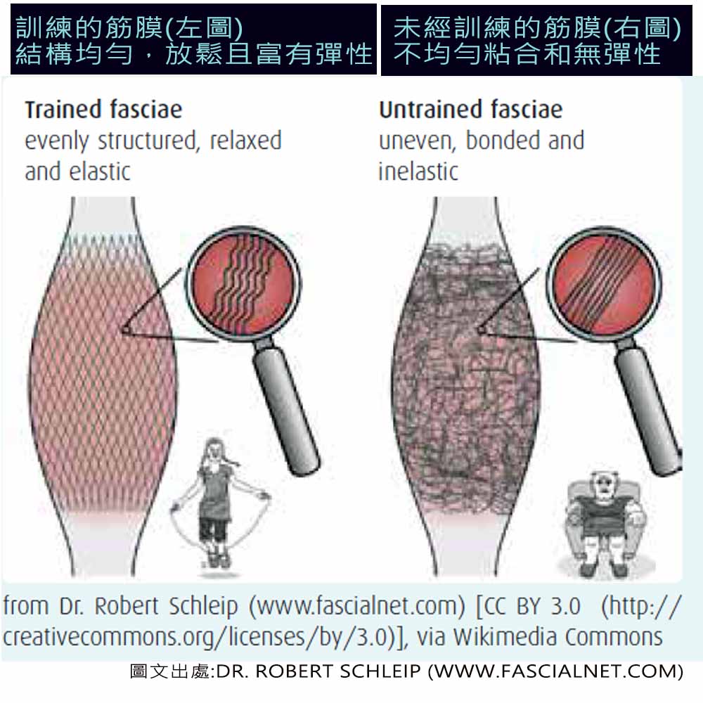 全身按摩 足部反射區按摩 筋絡按摩 健身 增進肌肉 微循環促進 肩頸放鬆 改善睡眠