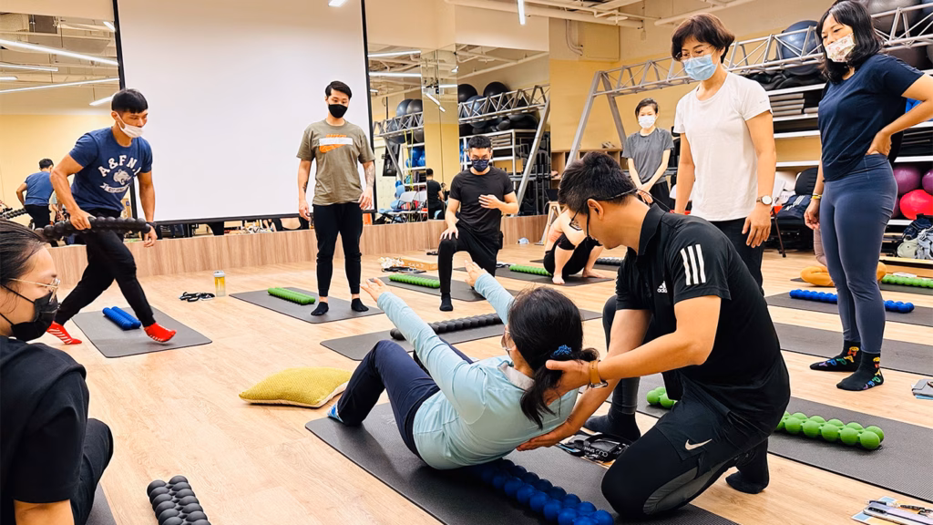 Spinefitter workshop