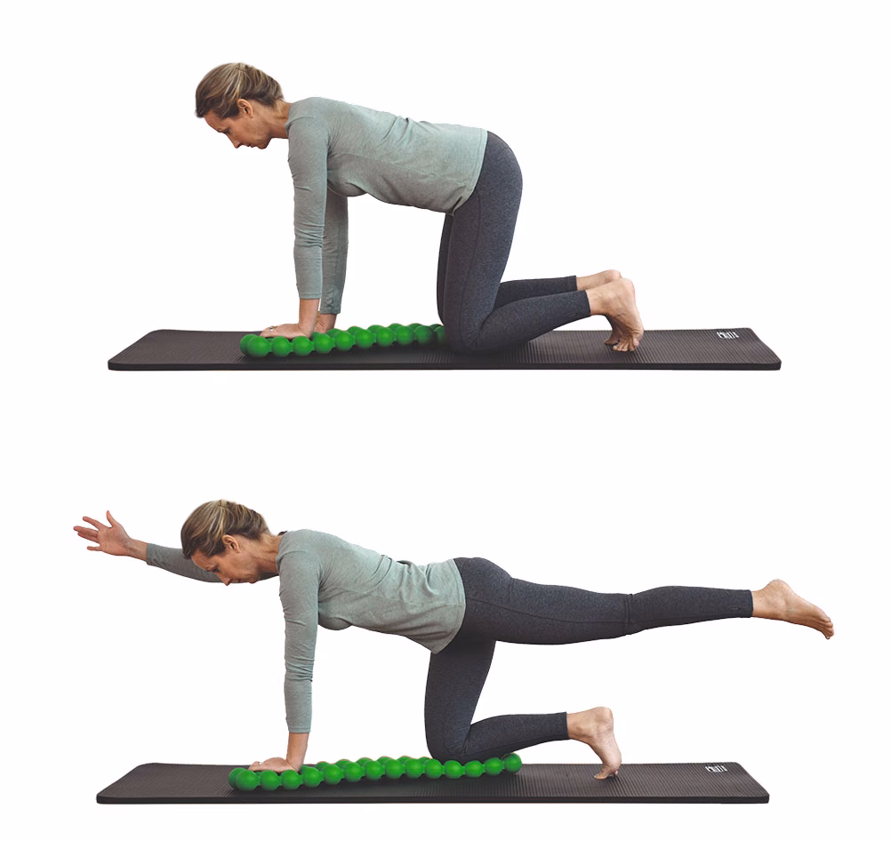 spinefitter exercise 深層肌肉強化：核心強化 (對角線支撐)