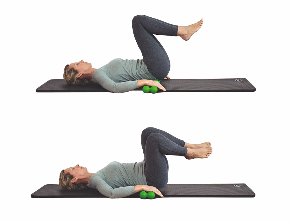 spinefitter exercise 薦椎放鬆